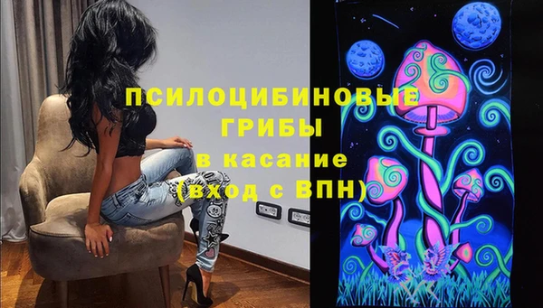 кокс Дмитриев