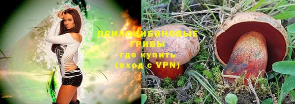 кокс Дмитриев