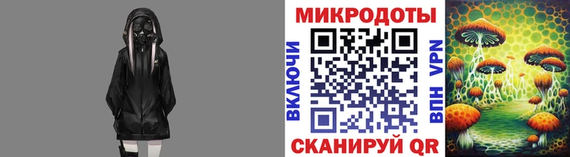 Галлюциногенные грибы Psilocybe  Завитинск 
